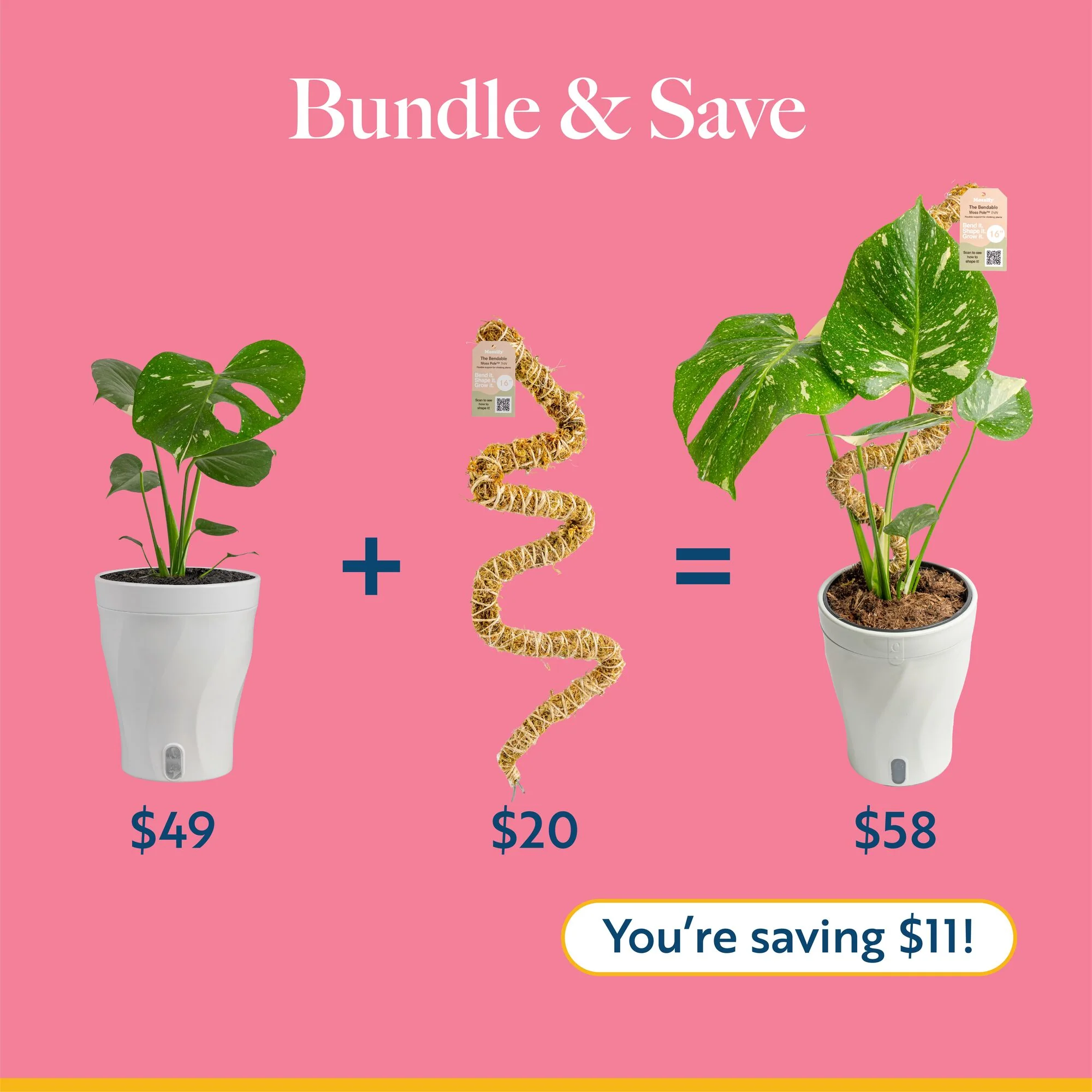 Pothos Mini Mint | medium - Image 10